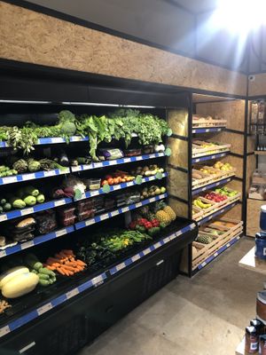 Plants at Mora Mora - Condesa in Mexico City