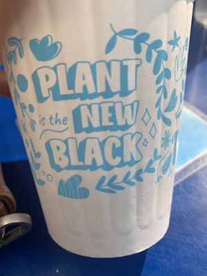   at Mora Mora - Condesa in Mexico City