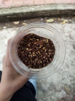 Crumble (es chocolate amargo como con almendras) at Mora Mora - Condesa in Mexico City