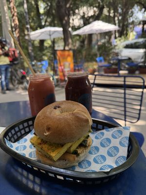 Today bagel and smoothies  at Mora Mora - Condesa in Mexico City