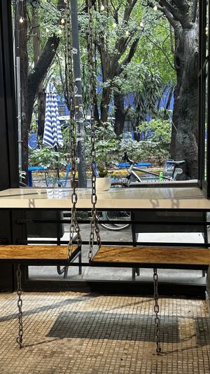 Love the swings in here  at Mora Mora - Condesa in Mexico City