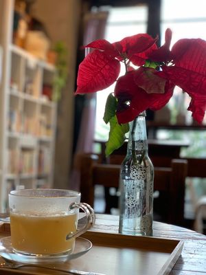 Hot apple KUZU-YU(arrowroot) at Ananda in Shizuoka