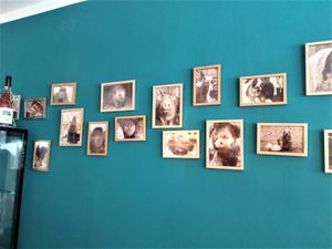 Tier Portraits / animal portrait gallery at Fräulein Grün in Garmisch Partenkirchen