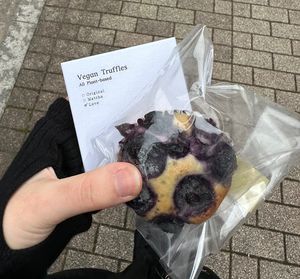   at Shochiku-en in Tokyo