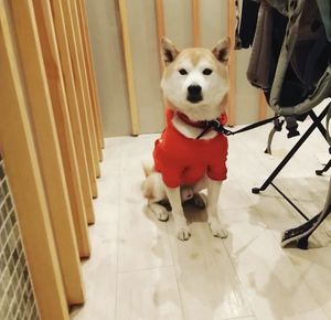  at Shochiku-en in Tokyo