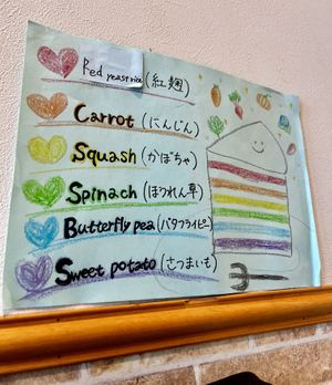 Rainbow cake layers  at Shochiku-en in Tokyo