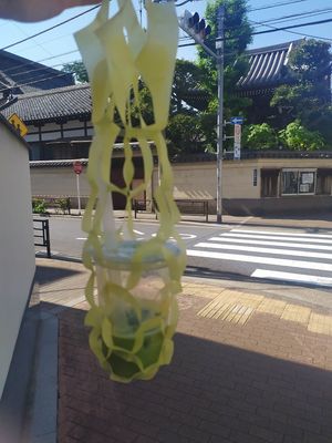 little bag thingy to carry the drink at Shochiku-en in Tokyo
