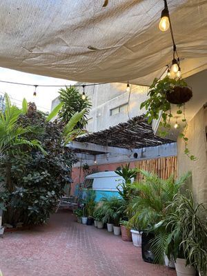   at Changomango in Merida