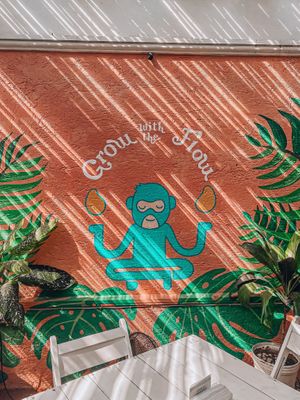 ✨  at Changomango in Merida