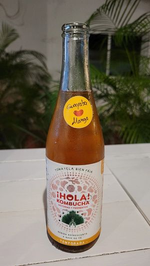 Kombucha at Changomango in Merida