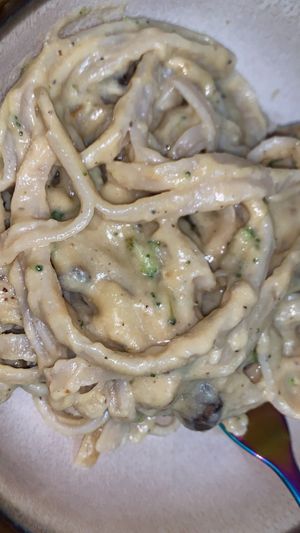 Chefs special - fettuccini Alfredo  at Plant in Fairfield