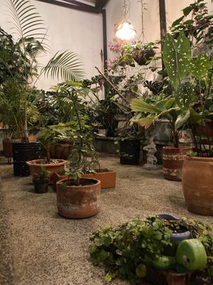 Jardín  at Casa Omedeto in Armenia