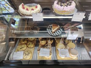  at Panneria in Playa Del Carmen