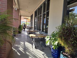  at Ayawaska in Petaluma