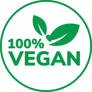 100% Vegan at GIVE Kefir in Siem Reap