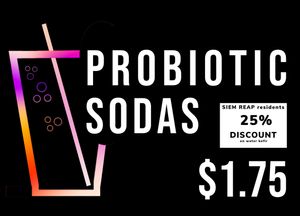 Probiotic sodas in many fresh flavors at GIVE Kefir in Siem Reap