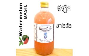  at GIVE Kefir in Siem Reap