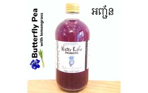  at GIVE Kefir in Siem Reap