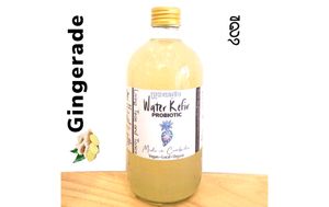  at GIVE Kefir in Siem Reap