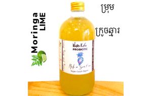  at GIVE Kefir in Siem Reap