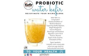  at GIVE Kefir in Siem Reap