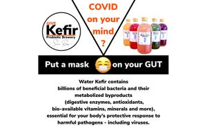  at GIVE Kefir in Siem Reap