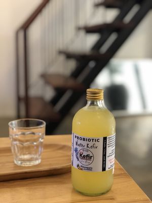 Kefir  at GIVE Kefir in Siem Reap