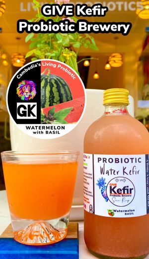  at GIVE Kefir in Siem Reap