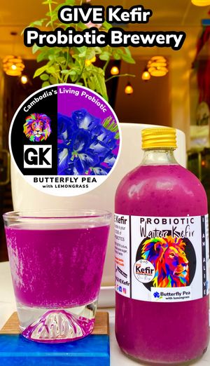  at GIVE Kefir in Siem Reap