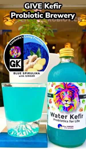  at GIVE Kefir in Siem Reap