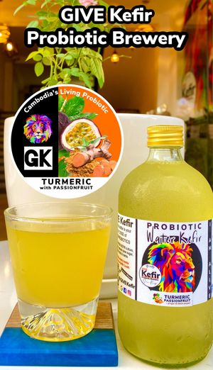  at GIVE Kefir in Siem Reap