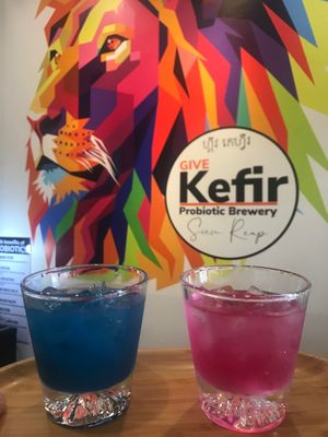  at GIVE Kefir in Siem Reap