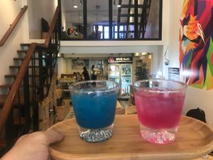  at GIVE Kefir in Siem Reap