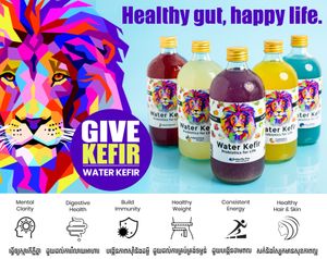  at GIVE Kefir in Siem Reap