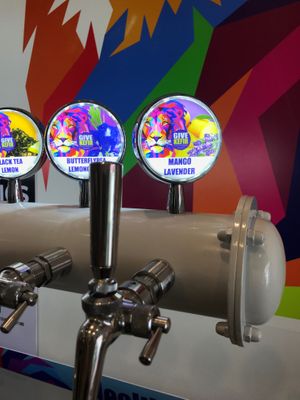  at GIVE Kefir in Siem Reap