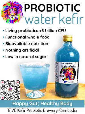  at GIVE Kefir in Siem Reap