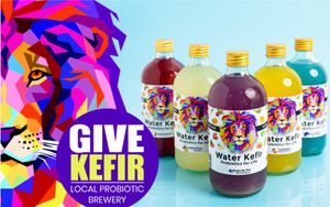  at GIVE Kefir in Siem Reap