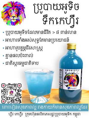  at GIVE Kefir in Siem Reap