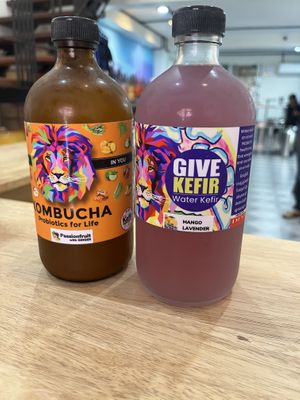   at GIVE Kefir in Siem Reap