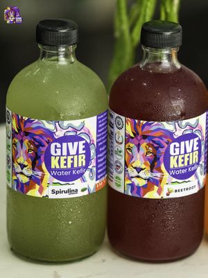   at GIVE Kefir in Siem Reap