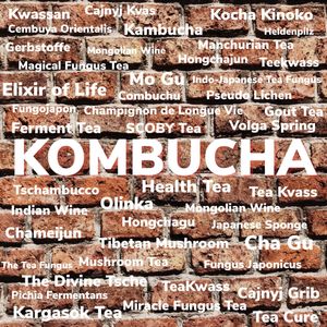 Many names of kombucha at GIVE Kefir in Siem Reap
