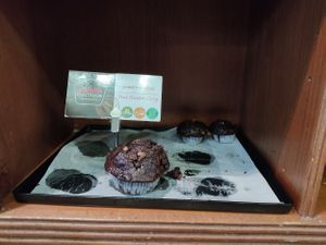  at Muffin Boutique in Jerusalem