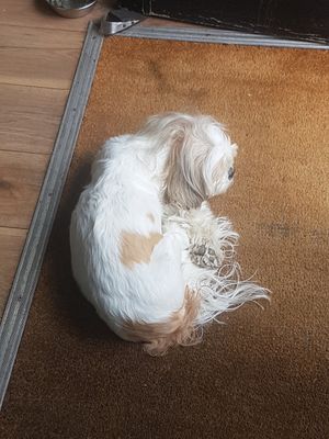  at Brasil Vegano Cafe in Guildford