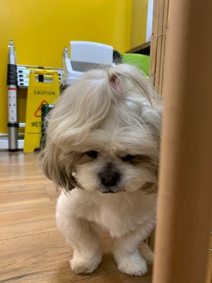 Little Mel at Brasil Vegano Cafe in Guildford