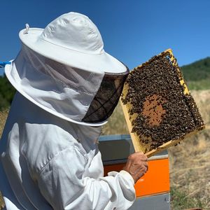 Le miel provien des ruches de mon papa, dans la drôme 🐝🐝 at La Malinette in Malain