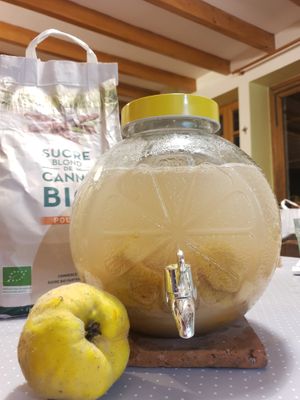 Sirop fermenté de coings ('Cheong' coréen) at La Malinette in Malain