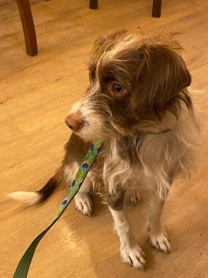  at Odete Bakery in Porto