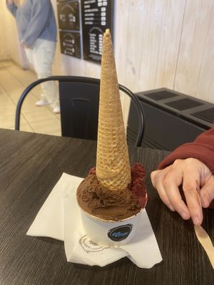 Vegan chocolate and Calafate, with vegan cone  at Aluen Patagonia in Puerto Natales