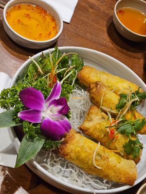Spring roll with vegetables at Tung's Kitchen in Hanoi