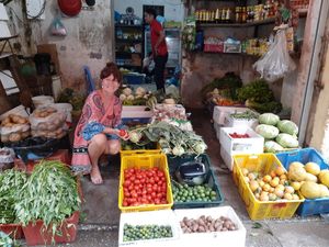 Cooking Class for vegan food at Tung's Kitchen in Hanoi